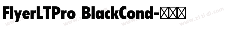 FlyerLTPro BlackCond字体转换 FlyerLTPro BlackCond字体转换